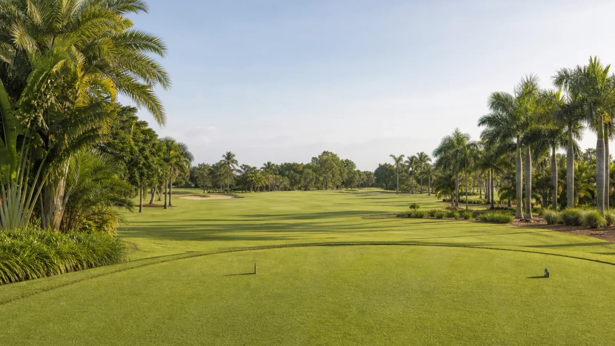 Golfbana i Florida med en utslagsplats och palmer